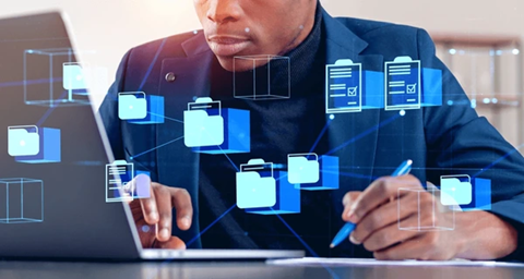 Web Systems & Portals Web Systems & Portals